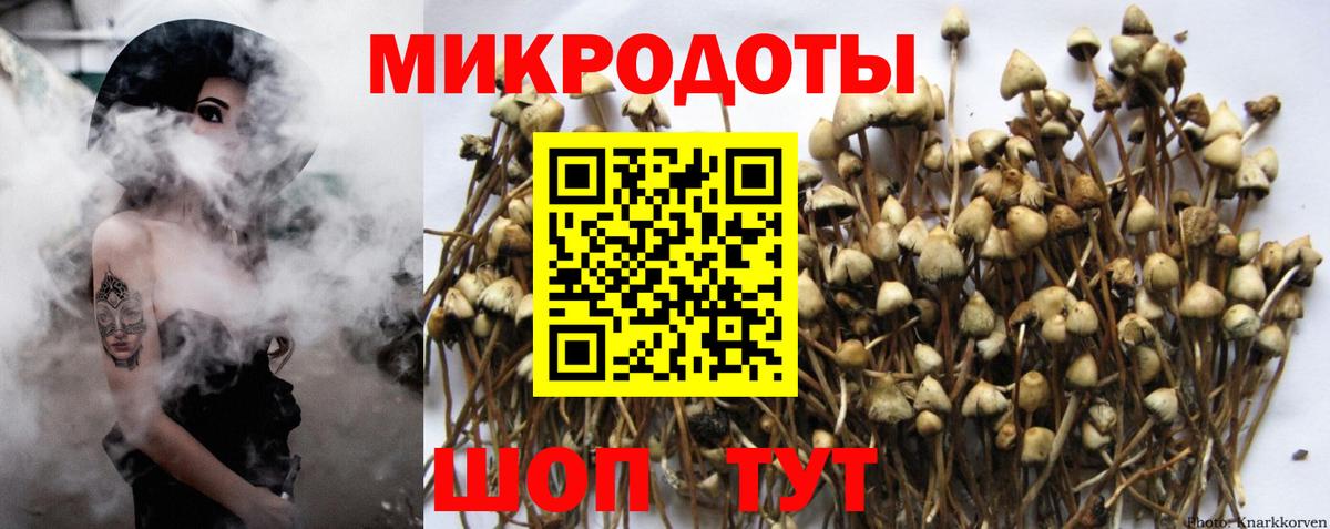 Псилоцибиновые грибы Psilocybine cubensis  Вход с VPN  где купить наркоту  Чайковский  Галлюциногенные грибы Magic Shrooms 